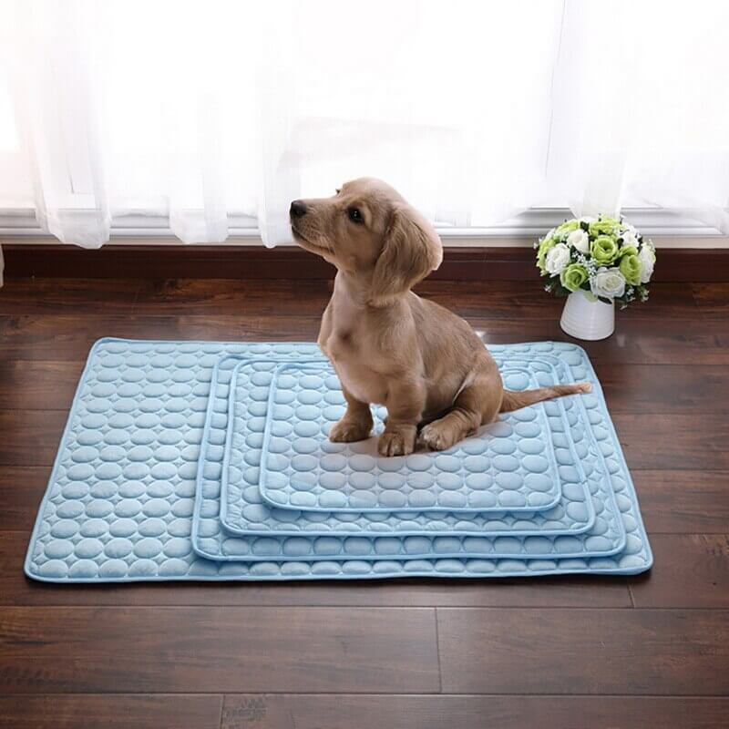 CoolComfort | Altijd een Koele, Comfortabele Rustplek – Zonder Gedoe