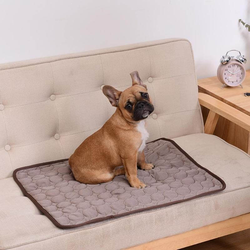 CoolComfort | Altijd een Koele, Comfortabele Rustplek – Zonder Gedoe